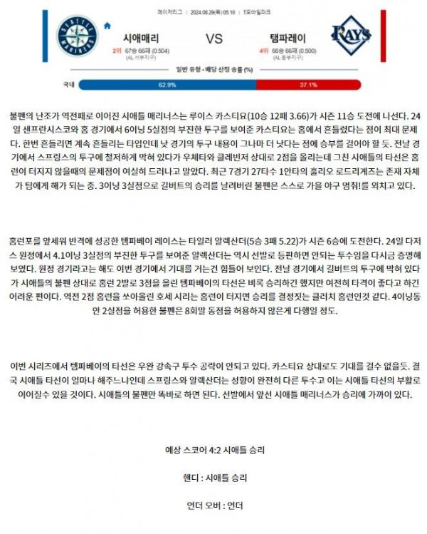 시애플 템파베이.JPG