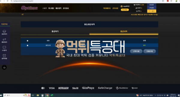 옵티마1.png